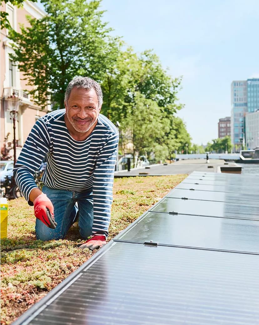 Meer groen op je dak